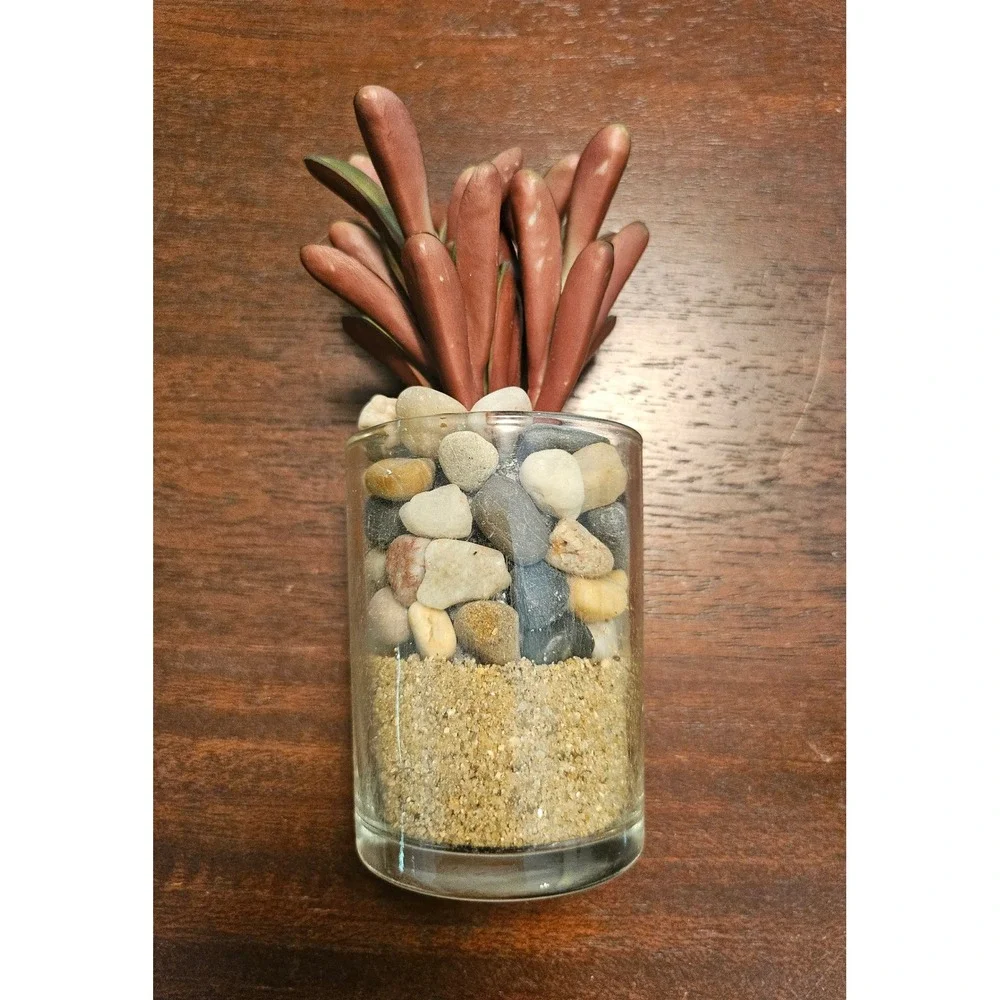 Succulent In Glass Home Decor Set of 4 Green Red Artificial Plants